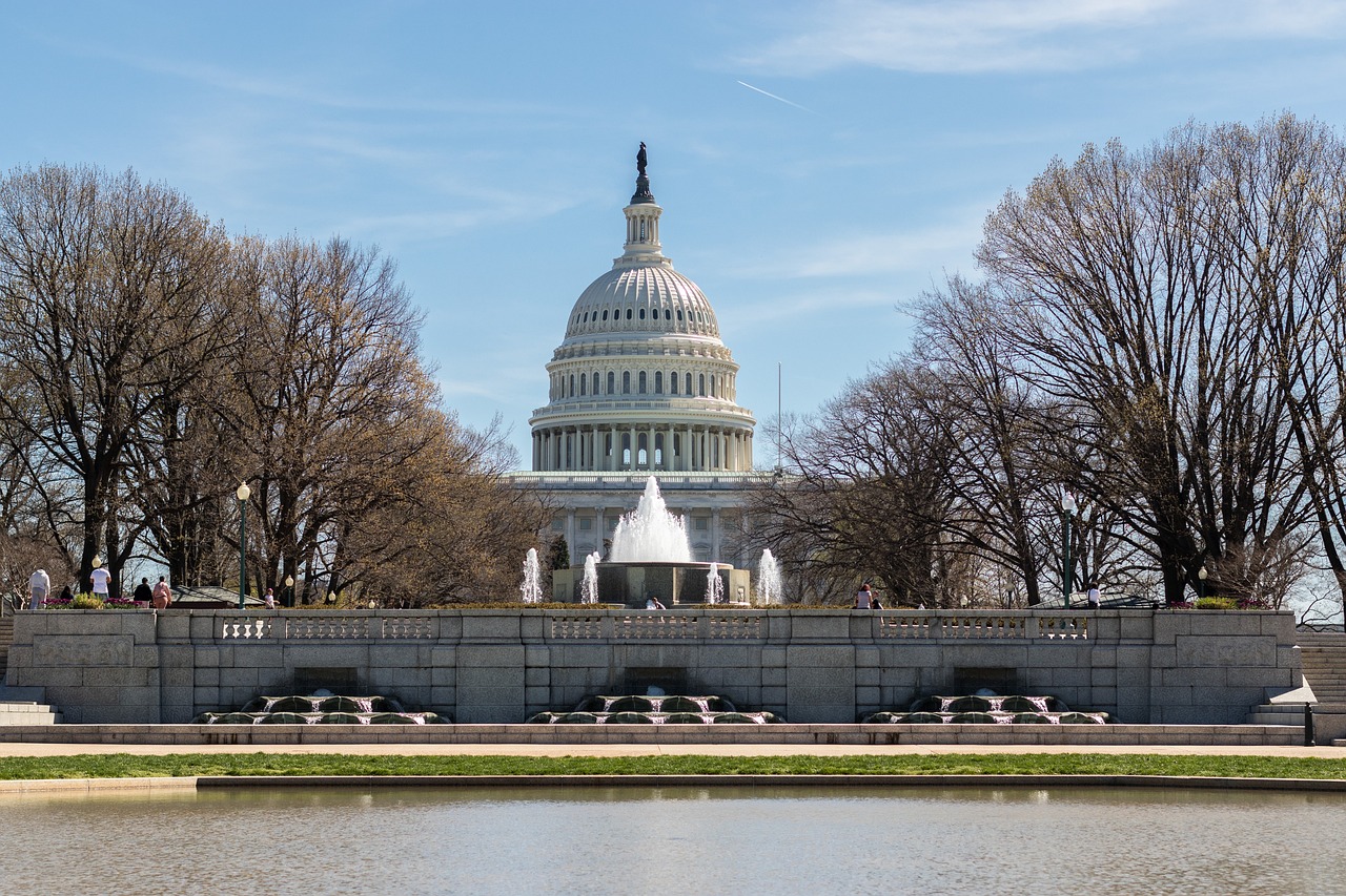 George Washington: The Father of His Country